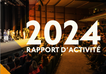 Image article : Rapport d'activité 2024 - Santé mentale France