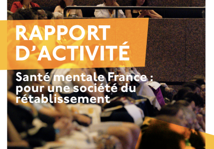 Image article : Rapport d'activité 2025 de la fédération Santé mentale France